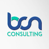 bcnconsulting.co