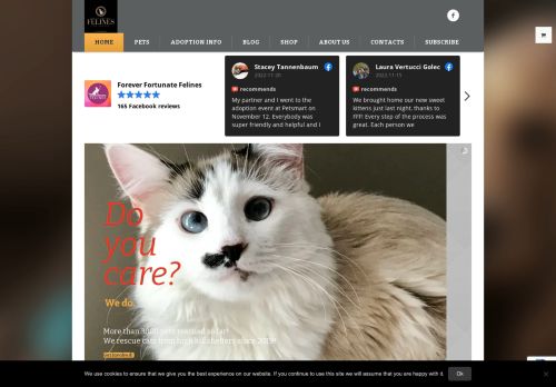www.foreverfortunatefelines.org