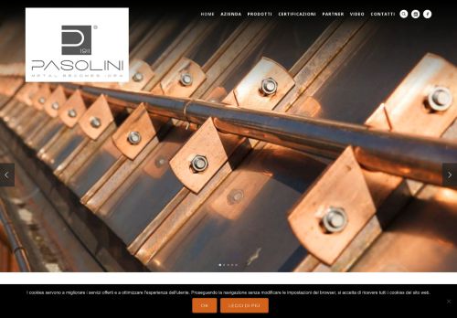 www.pasolini1911.it