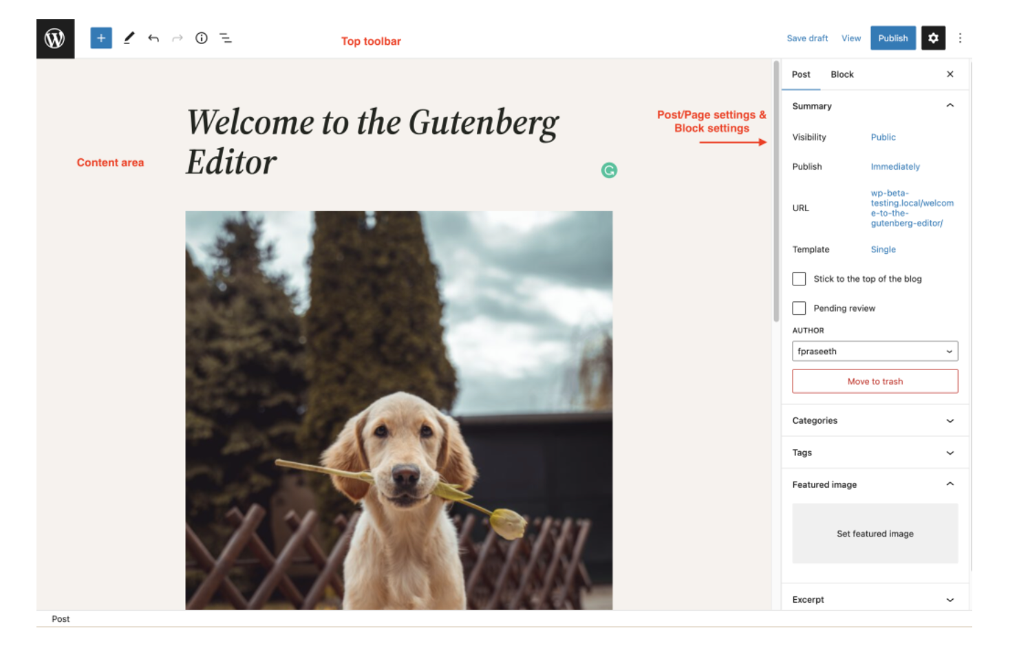 After you install WordPress this is the block editor you get. Source: wordpress.org